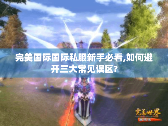 完美国际国际私服新手必看,如何避开三大常见误区?