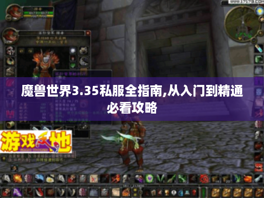 魔兽世界3.35私服全指南,从入门到精通必看攻略