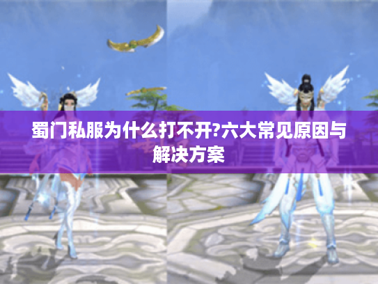 蜀门私服为什么打不开?六大常见原因与解决方案