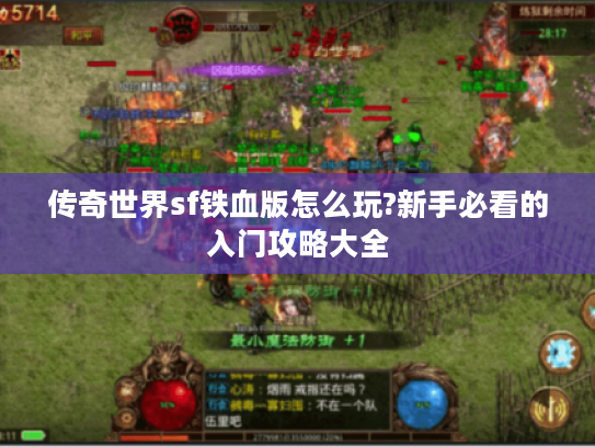 传奇世界sf铁血版怎么玩?新手必看的入门攻略大全