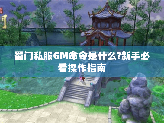 蜀门私服GM命令是什么?新手必看操作指南