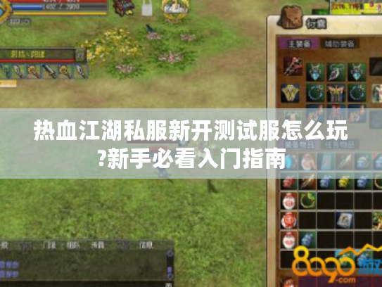 热血江湖私服新开测试服怎么玩?新手必看入门指南