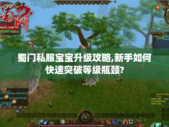 蜀门私服宝宝升级攻略,新手如何快速突破等级瓶颈?