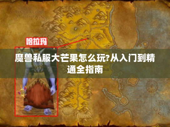 魔兽私服大芒果怎么玩?从入门到精通全指南 魔兽私服大芒果怎么玩?从入门到精通全指南