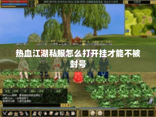 热血江湖私服怎么打开挂才能不被封号
