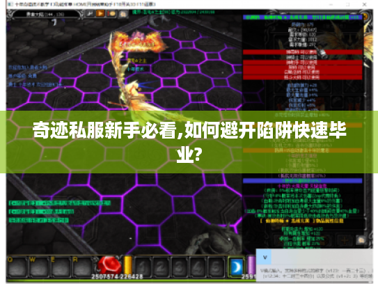 奇迹私服新手必看,如何避开陷阱快速毕业?