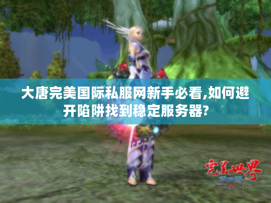 大唐完美国际私服网新手必看,如何避开陷阱找到稳定服务器?