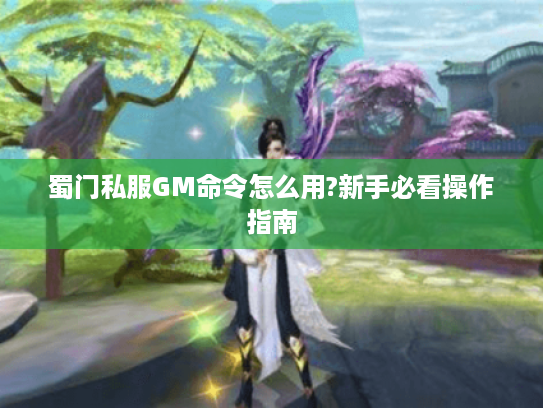 蜀门私服GM命令怎么用?新手必看操作指南