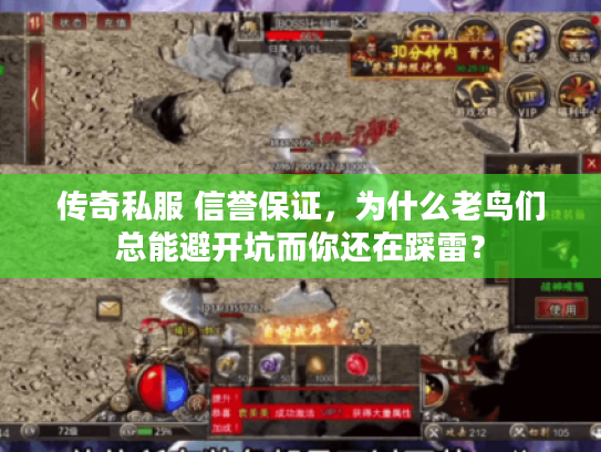 传奇私服 信誉保证，为什么老鸟们总能避开坑而你还在踩雷？