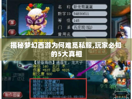 揭秘梦幻西游为何难觅私服,玩家必知的5大真相