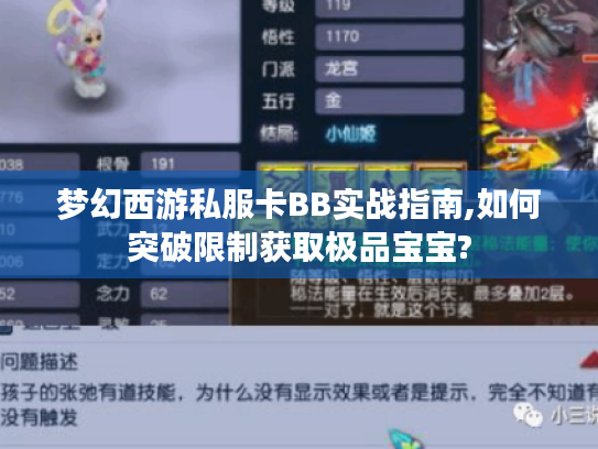 梦幻西游私服卡BB实战指南,如何突破限制获取极品宝宝?