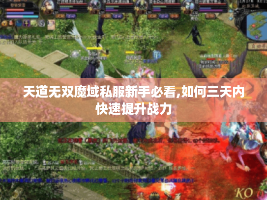 天道无双魔域私服新手必看,如何三天内快速提升战力