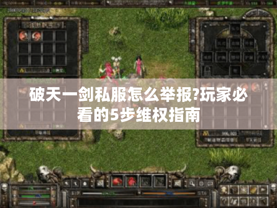 破天一剑私服怎么举报?玩家必看的5步维权指南