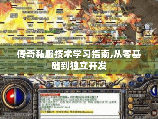 传奇私服技术学习指南,从零基础到独立开发 传奇私服技术学习指南,从零基础到独立开发