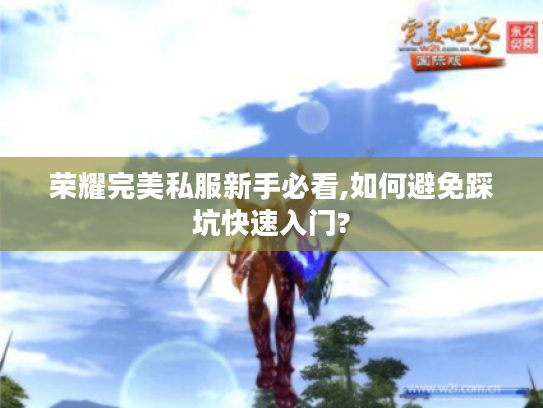荣耀完美私服新手必看,如何避免踩坑快速入门? 荣耀完美私服新手必看,如何避免踩坑快速入门?