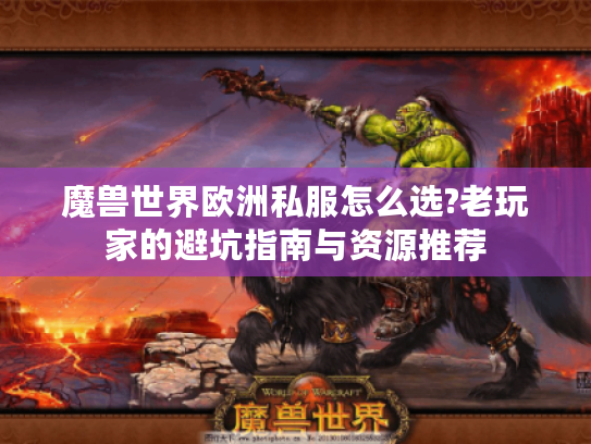 魔兽世界欧洲私服怎么选?老玩家的避坑指南与资源推荐