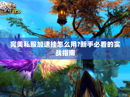 完美私服加速挂怎么用?新手必看的实战指南