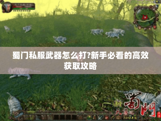 蜀门私服武器怎么打?新手必看的高效获取攻略