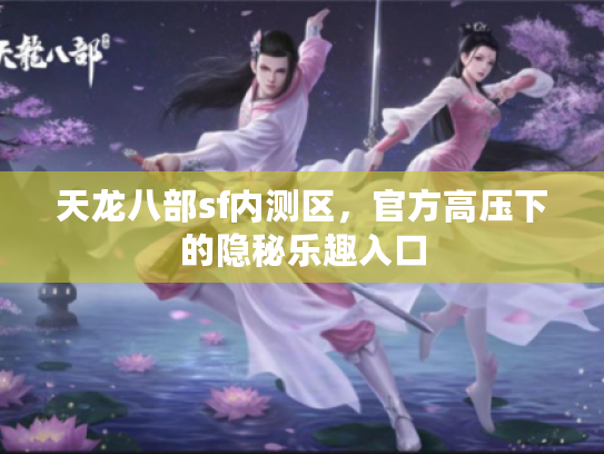 天龙八部sf内测区，官方高压下的隐秘乐趣入口
