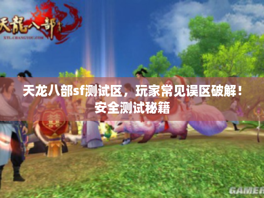 天龙八部sf测试区，玩家常见误区破解！安全测试秘籍