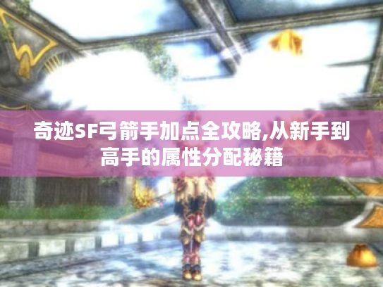 奇迹SF弓箭手加点全攻略,从新手到高手的属性分配秘籍