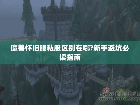 魔兽怀旧服私服区别在哪?新手避坑必读指南