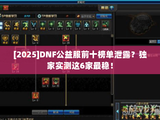 [2025]DNF公益服前十榜单泄露？独家实测这6家最稳！
