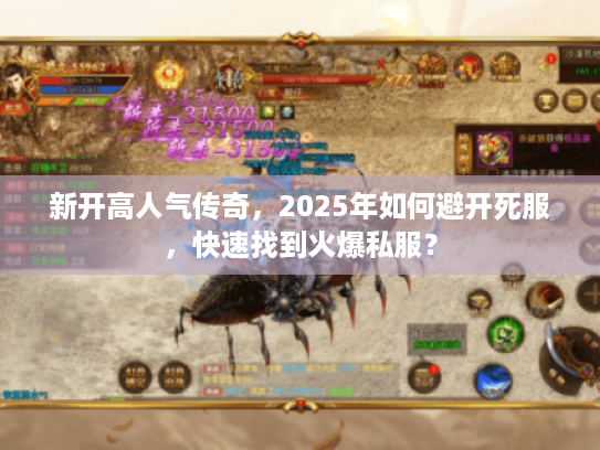 新开高人气传奇，2025年如何避开死服，快速找到火爆私服？