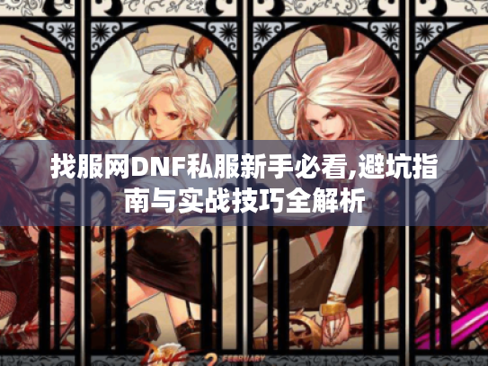 找服网DNF私服新手必看,避坑指南与实战技巧全解析