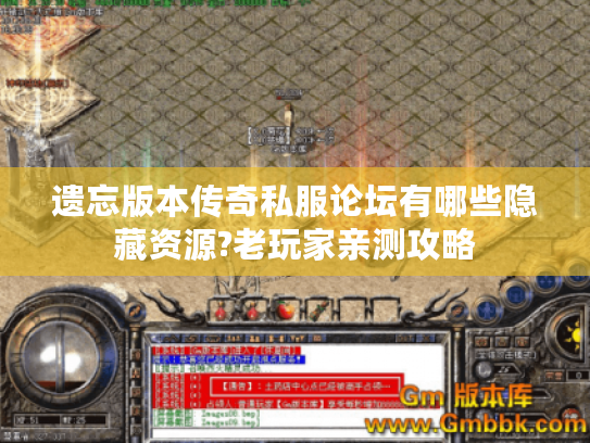 遗忘版本传奇私服论坛有哪些隐藏资源?老玩家亲测攻略