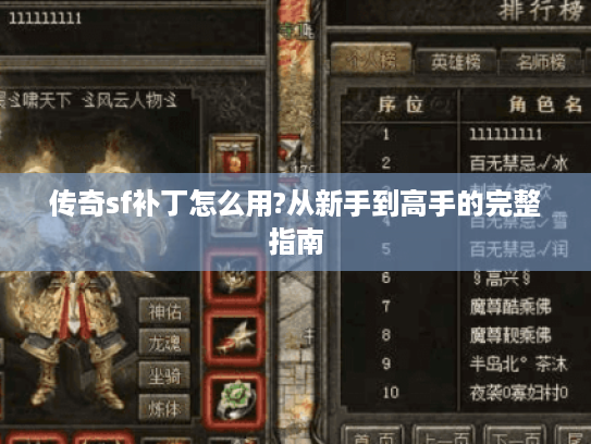 传奇sf补丁怎么用?从新手到高手的完整指南