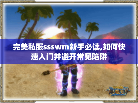 完美私服ssswm新手必读,如何快速入门并避开常见陷阱