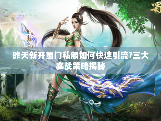 昨天新开蜀门私服如何快速引流?三大实战策略揭秘