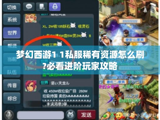 梦幻西游1 1私服稀有资源怎么刷?必看进阶玩家攻略