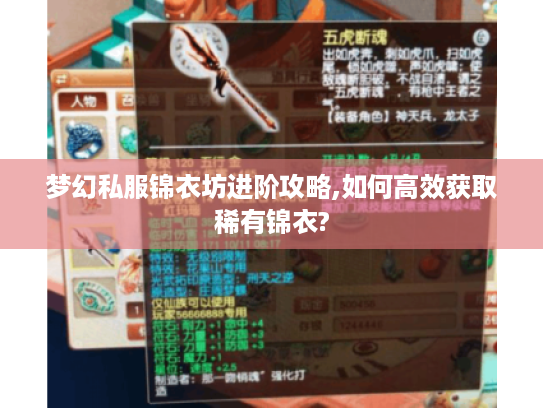 梦幻私服锦衣坊进阶攻略,如何高效获取稀有锦衣?