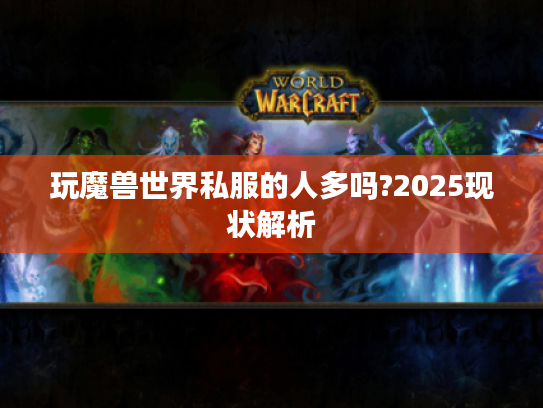 玩魔兽世界私服的人多吗?2025现状解析