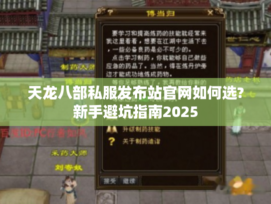 天龙八部私服发布站官网如何选?新手避坑指南2025