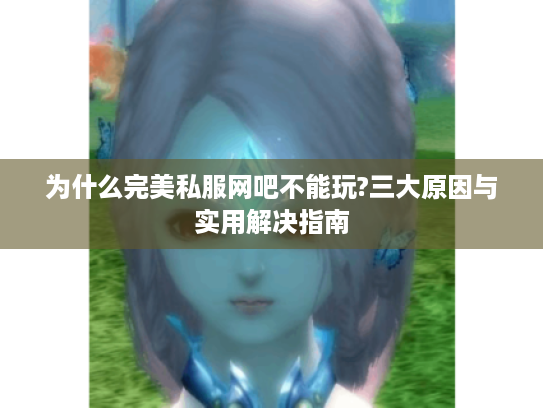 为什么完美私服网吧不能玩?三大原因与实用解决指南