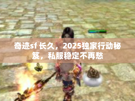 奇迹sf 长久，2025独家行动秘笈，私服稳定不再愁