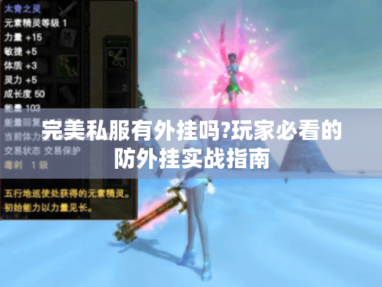 完美私服有外挂吗?玩家必看的防外挂实战指南