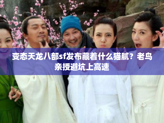变态天龙八部sf发布藏着什么猫腻？老鸟亲授避坑上高速