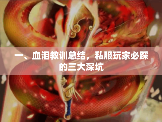 一、血泪教训总结，私服玩家必踩的三大深坑