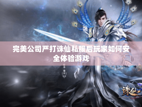 完美公司严打诛仙私服后玩家如何安全体验游戏