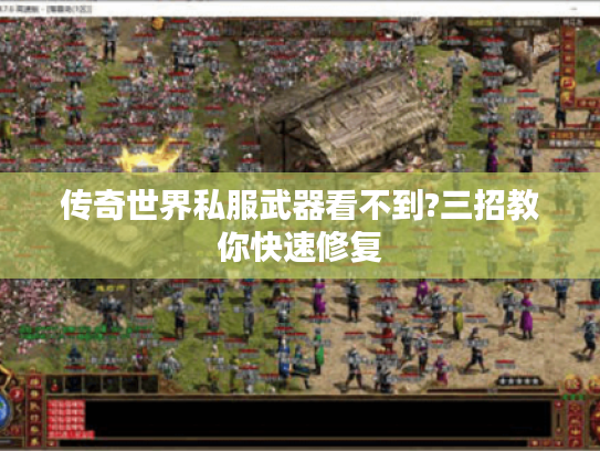 传奇世界私服武器看不到?三招教你快速修复