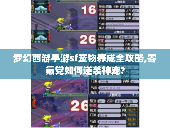 梦幻西游手游sf宠物养成全攻略,零氪党如何逆袭神宠?