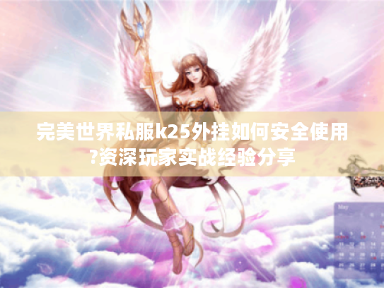 完美世界私服k25外挂如何安全使用?资深玩家实战经验分享