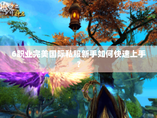 6职业完美国际私服新手如何快速上手?