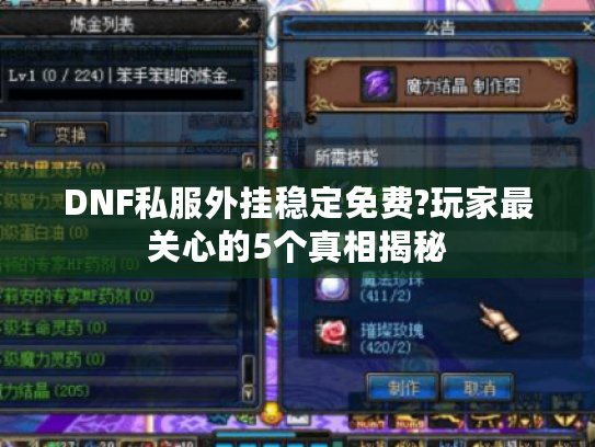 DNF私服外挂稳定免费?玩家最关心的5个真相揭秘