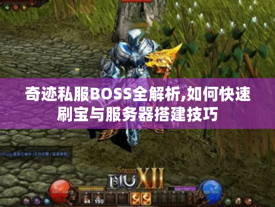 奇迹私服BOSS全解析,如何快速刷宝与服务器搭建技巧