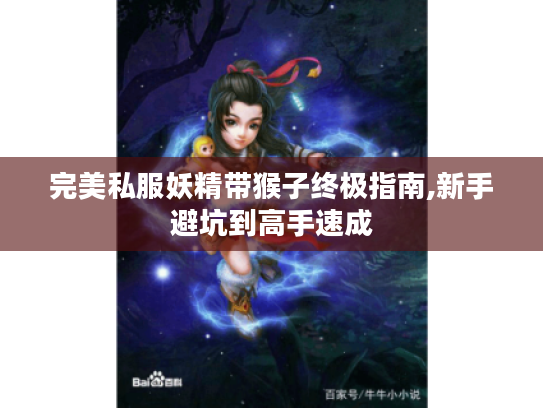 完美私服妖精带猴子终极指南,新手避坑到高手速成